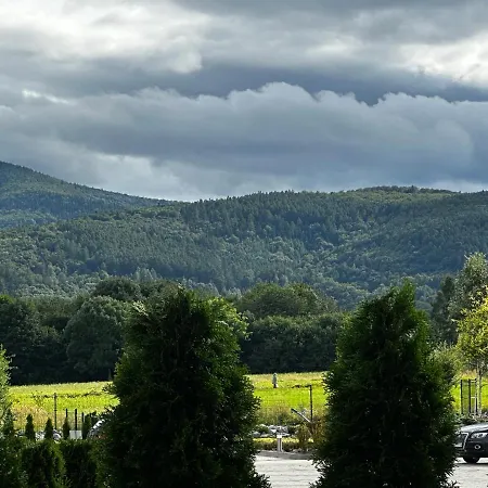 Z Widokiem Na Szyndzielnię Apartament Bielsko-Biała