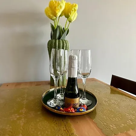Apartment Z Widokiem Na Szyndzielnie *