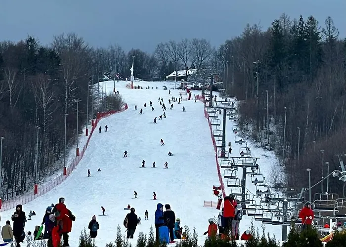Διαμέρισμα Z Widokiem Na Szyndzielnie Μπιέλσκο-Μπιάλα